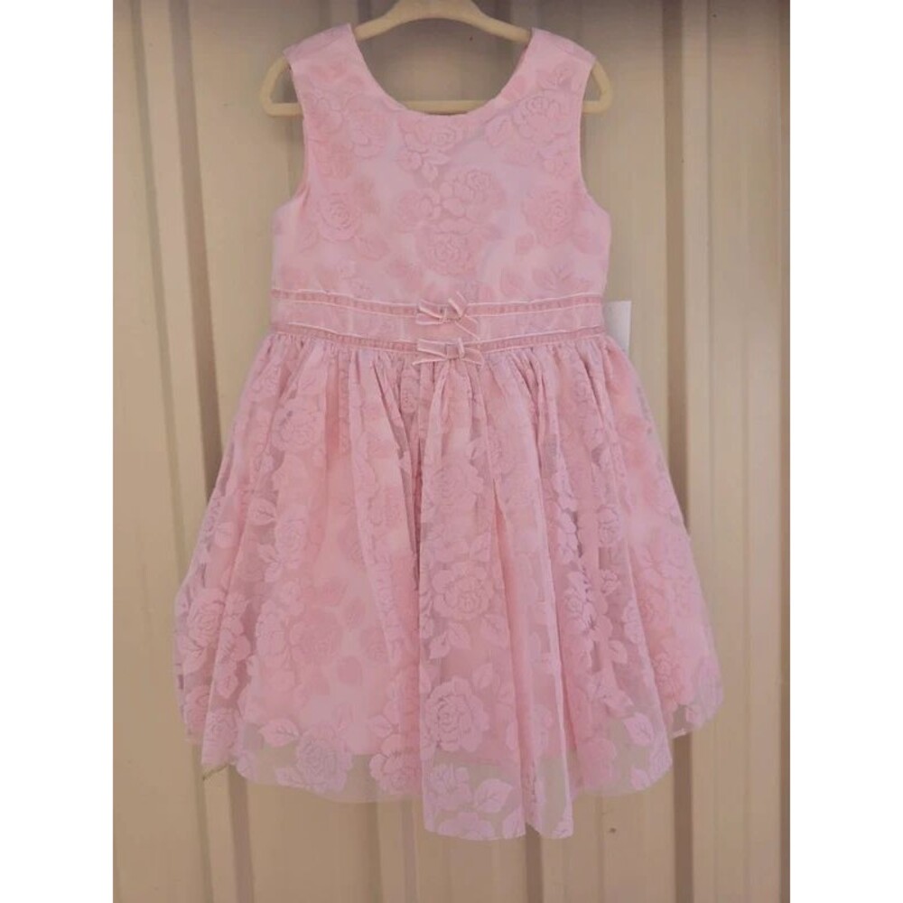 Jessica Simpson Pink Floral Lace Tulle Dress Size 4T